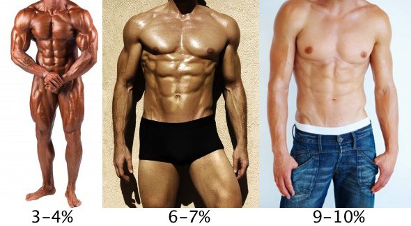 mens body fat percentage